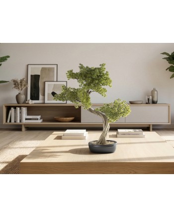 BANKAN II - BONSAI 49CM